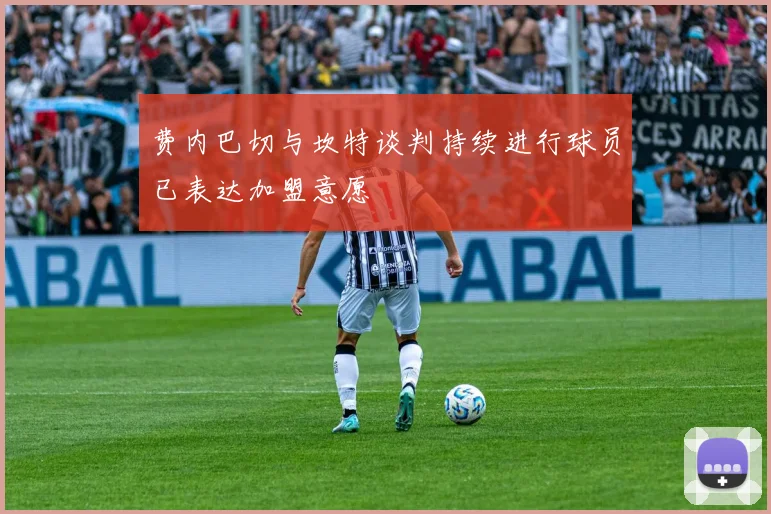 费内巴切与坎特谈判持续进行球员已表达加盟意愿